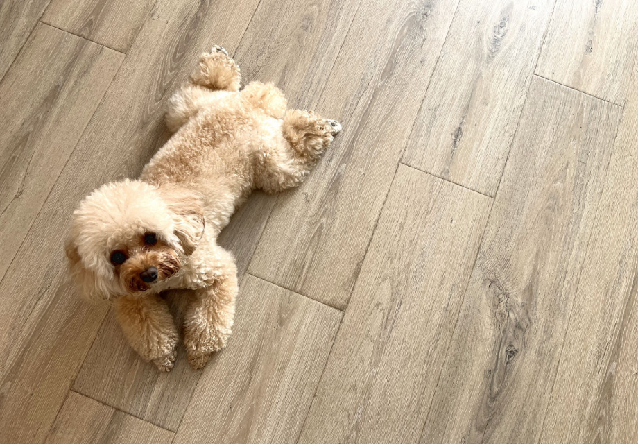 slide-floor-06