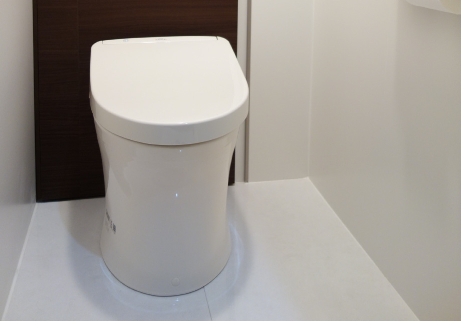 slide-toilet